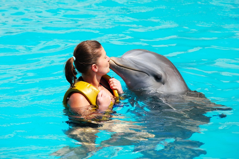 Nado con delfines en Cancún.