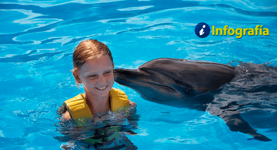 Dolphinaris Cancún Nadar con delfines en México