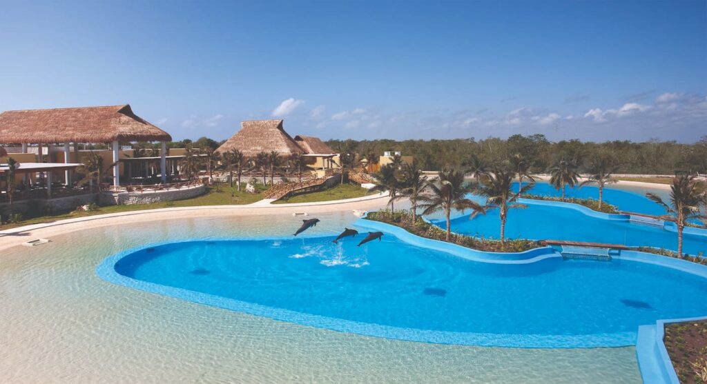 Dolphinaris en la Riviera Maya, nada con delfines y con tortugas en Akumal
