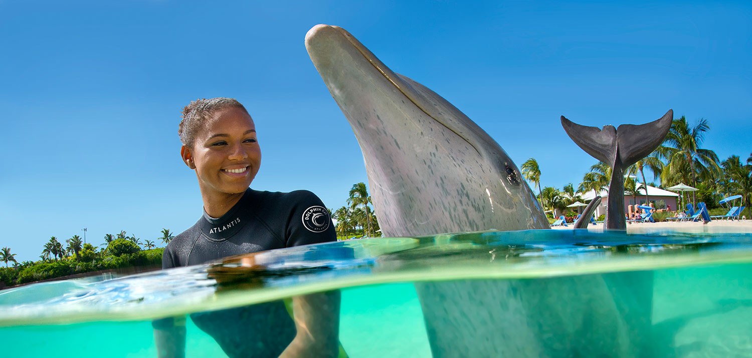 Dolphin Cay - One of the Best Places to Swim with Dolphins in the World 