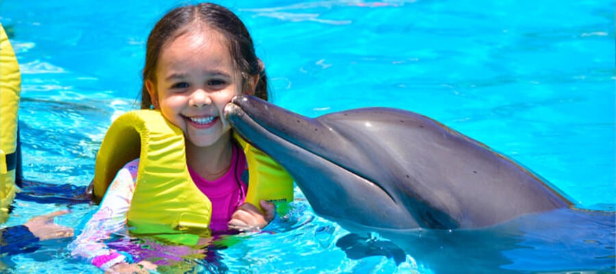 Mejores lugares para nadar con delfines en México