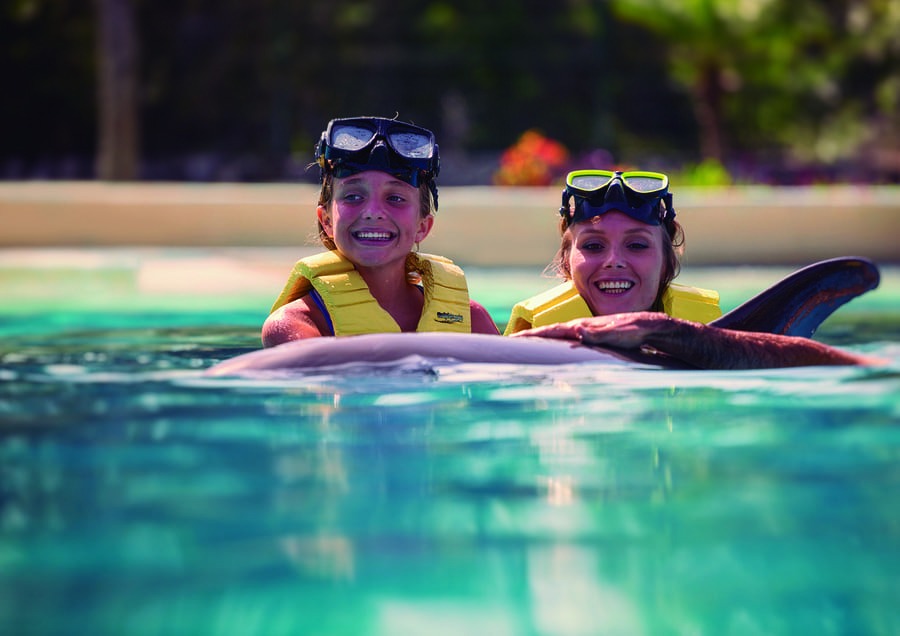 Destinos y actividades que hacer en el Caribe Mexicano Dolphinaris