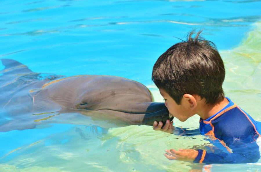 Nada con delfines en Dolphinaris Cancún, Riviera Maya o Tulum, Un sueño hecho realidad