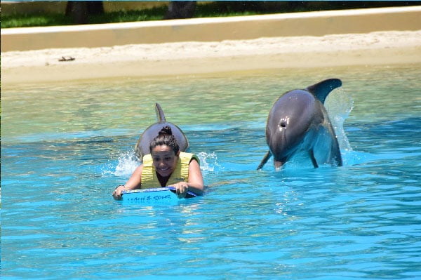 Entrenador por un día en Dolphinaris