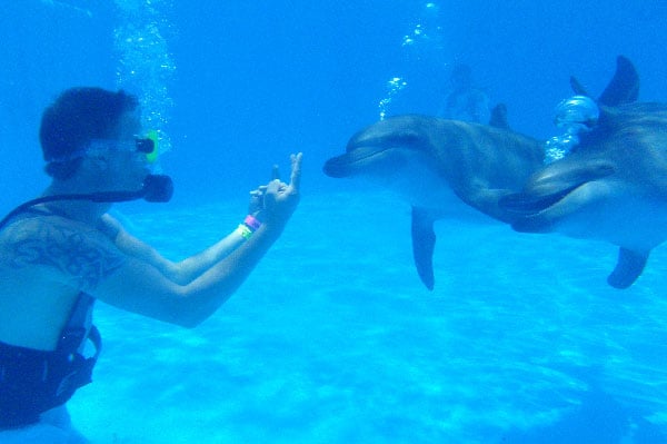 Entrenador por un día en Dolphinaris