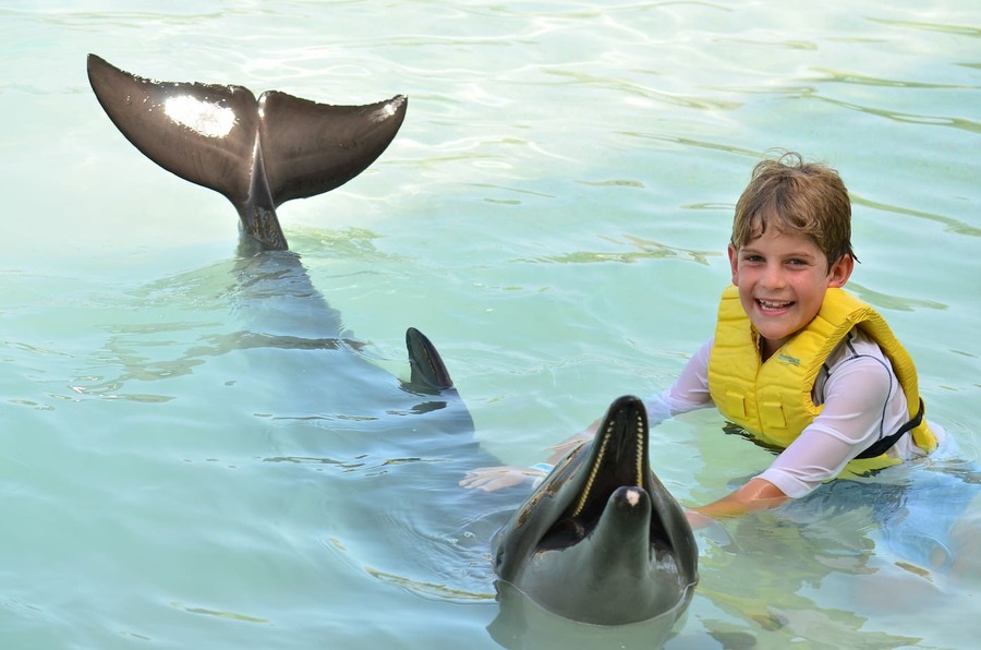 Dolphinaris Cancún Nadar con Delfines amigables