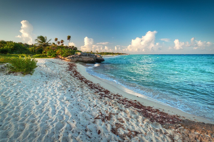 Riviera Maya Playa del Carmen Nadar con delfines Dolphinaris