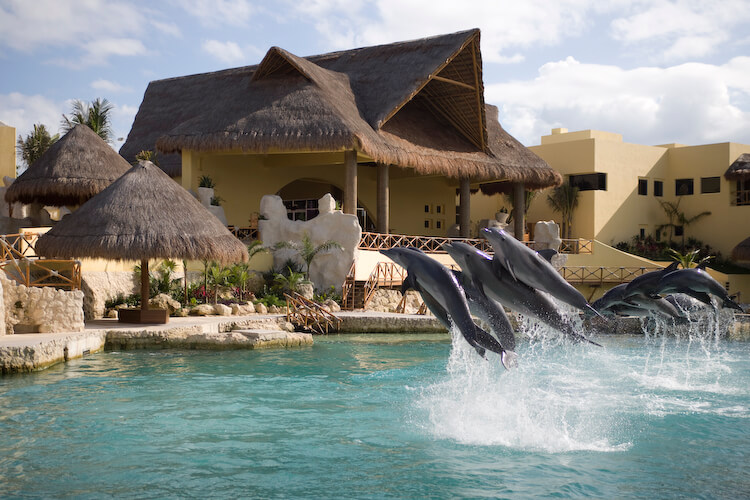 Swimming with dolphins at Dolphinaris facilities in Cozumel