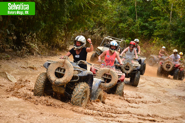 What to see in the Riviera Maya Selvatica