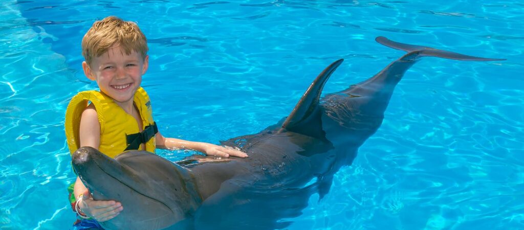 Nado con delfines en Dolphinaris Barceló.