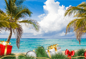 Christmas in Riviera Maya