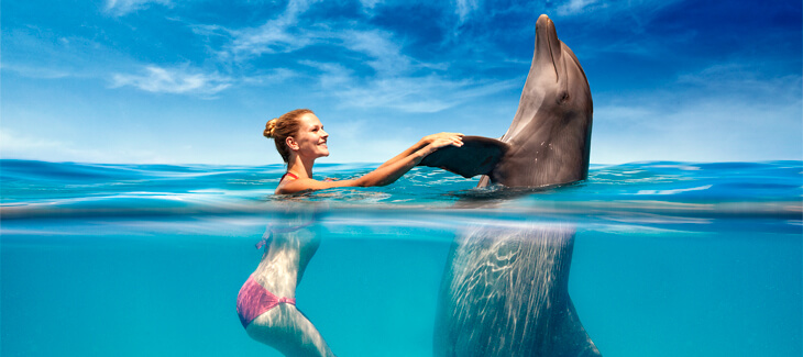 Con Dolphinaris haz realidad tu sueño, ¡nada con delfines!