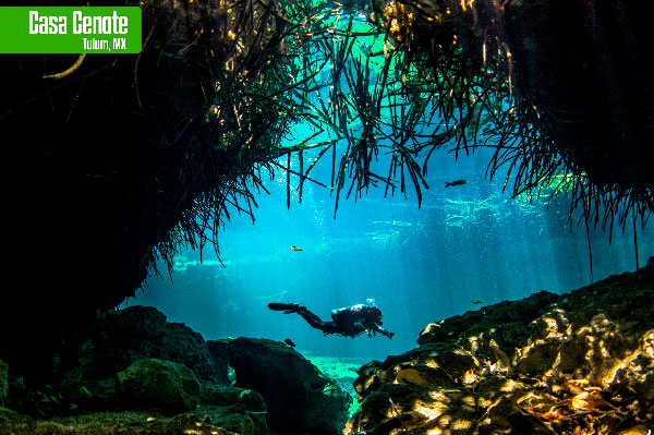 que ver en la riviera maya Casa Cenote