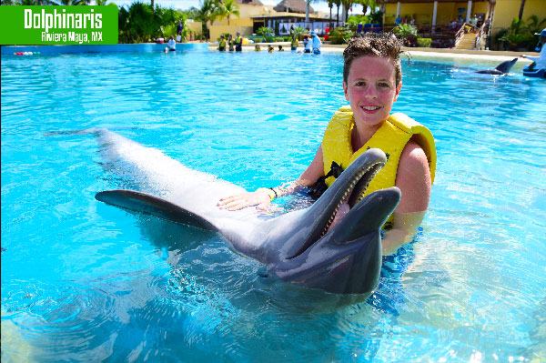 que ver en la riviera maya Dolphinaris