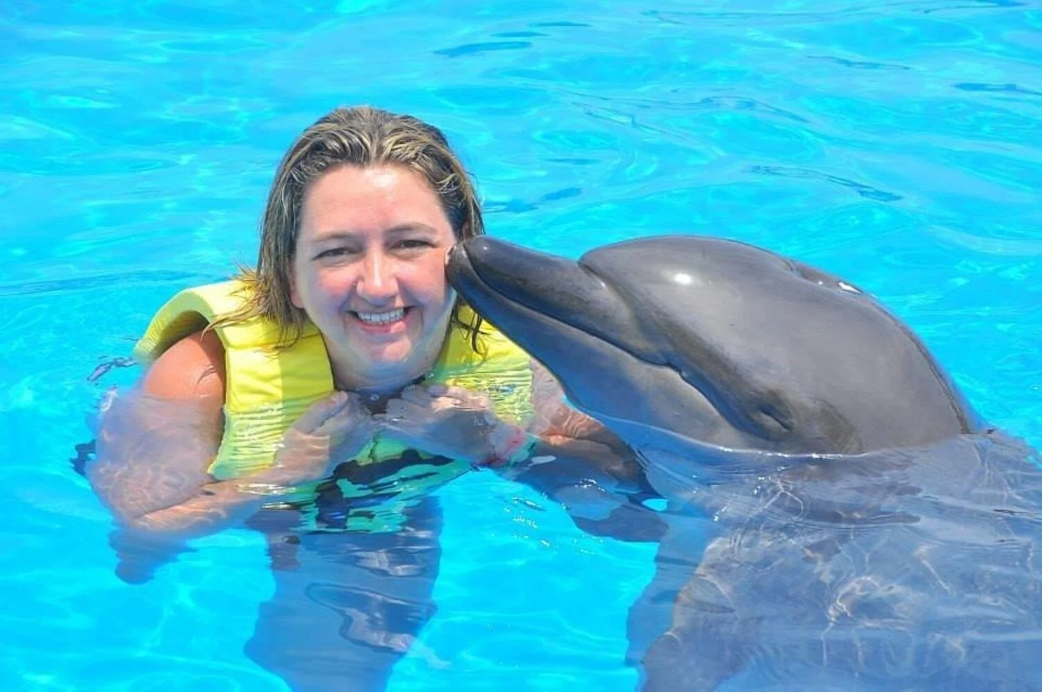 swim with dolphins in tulum